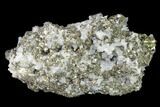 Chalcopyrite, Pyrite, Galena and Quartz Association - Peru #141830-2